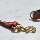 Rolled Leather Leash closeup