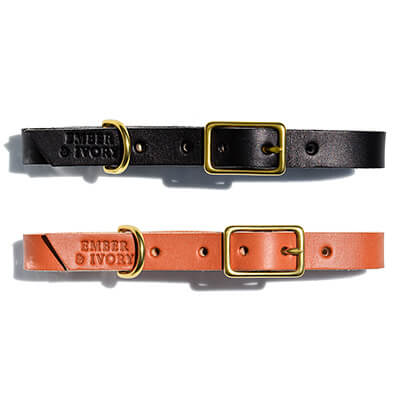 Dog Collars
