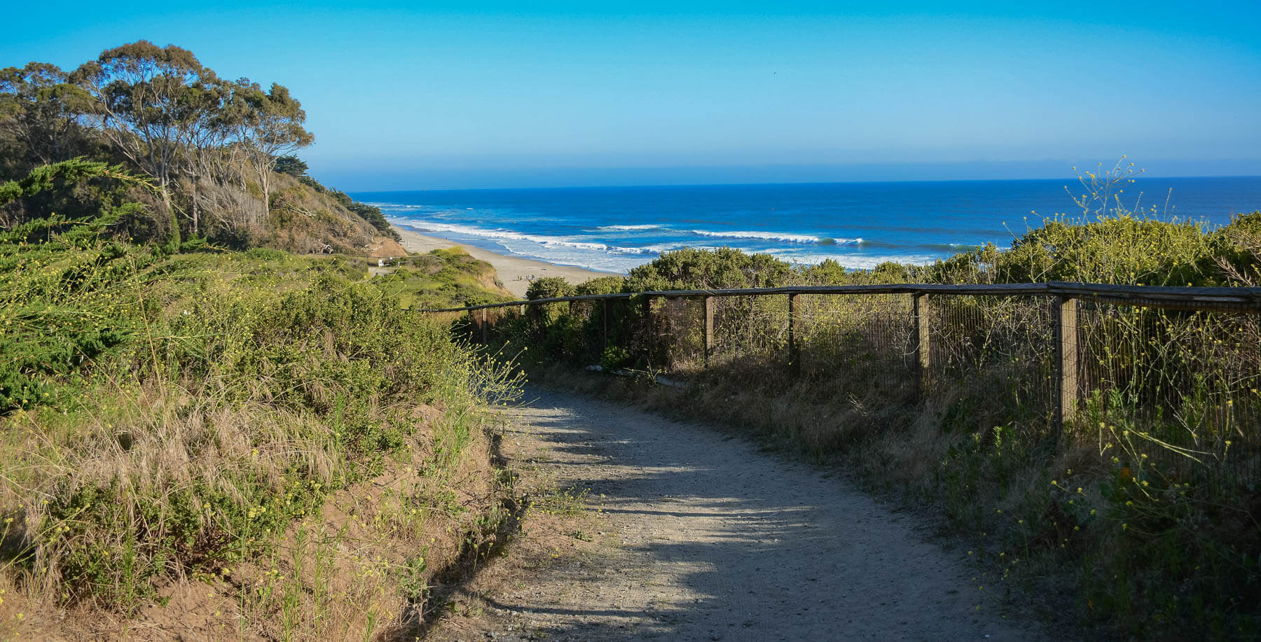Manresa State Beach walking path